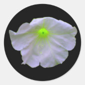 Petunia Green Glow Stickers (Voorkant)