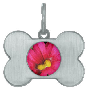 Petunia Huisdieren Naamplaatje