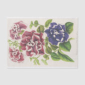 Pétunia Inimitabilis (Hybride), Flore Pleno Tissuepapier (Voorkant)