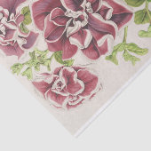 Pétunia Inimitabilis (Hybride), Flore Pleno Tissuepapier (Detail)