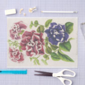 Pétunia Inimitabilis (Hybride), Flore Pleno Tissuepapier (Craft)