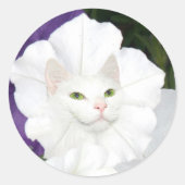 Petunia kattengezicht ronde sticker (Voorkant)