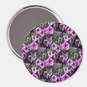 Petunia Land... Magneet (Voorkant / Achterkant)