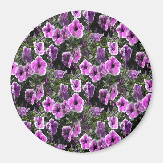 Petunia Land... Magneet (Voorkant)