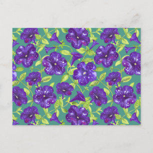 Petunia Night Sky op blauwgroen achtergrond Sierku Briefkaart
