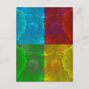 Petunia Pop Briefkaart
