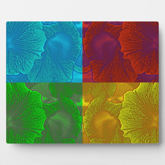 Petunia Pop Fotoplaat (Voorkant)