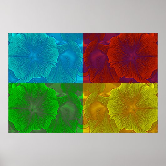 Petunia Pop Poster (Voorkant)
