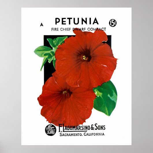 Petunia Poster (Voorkant)