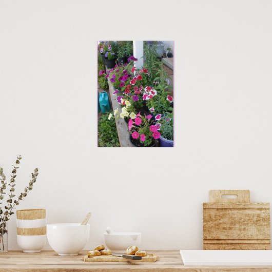 Petunia Putunias Bloementuin Poster (Keuken)