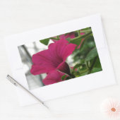Petunia Rechthoekige Sticker (Envelop)