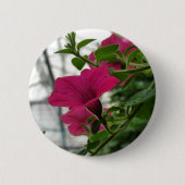Petunia Ronde Button 5,7 Cm (Voorkant)