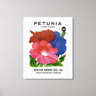 Petunia Seed Packet Canvas Afdruk