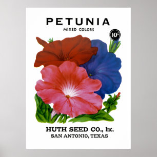 Petunia Seed Packet Poster
