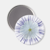 Petunia Starburst Magneet (Voorkant / Achterkant)