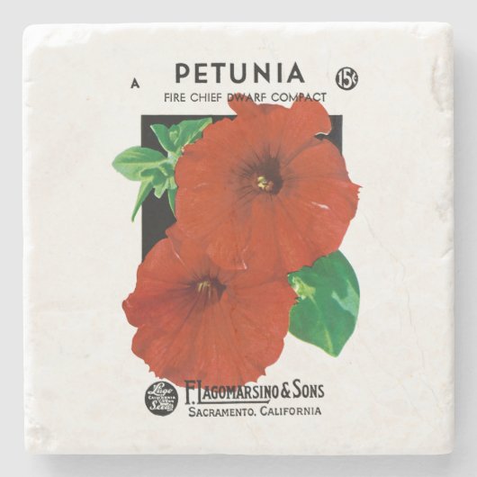 Petunia Stenen Onderzetter (Voorkant)