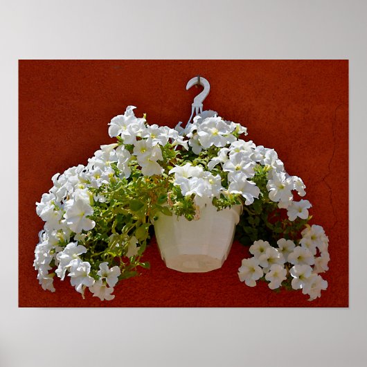 Petunia surfinia in een witte pot poster (Voorkant)