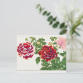 Petunia van Tanigami Konan Briefkaart (Staand voorkant)