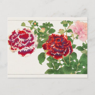 Petunia van Tanigami Konan Briefkaart
