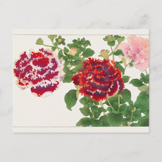 Petunia van Tanigami Konan Briefkaart (Voorkant)