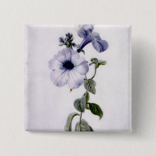 Petunia Vierkante Button 5,1 Cm