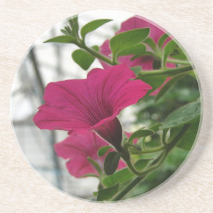 Petunia Zandsteen Onderzetter