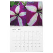 Petunias - een 20XX kalender (Jan 2027)