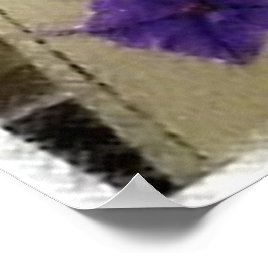 Petunias en de Dinner Bell Poster (Hoek)