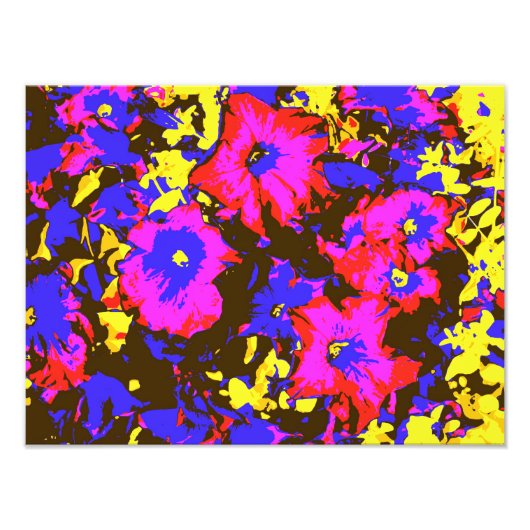 PETUNIAS FOTO AFDRUK (Voorkant)