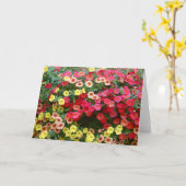Petunias Kaart (Gele Bloem)