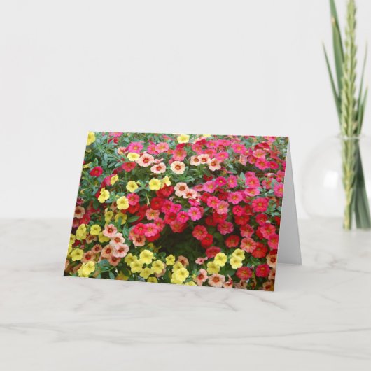 Petunias Kaart (Voorkant)