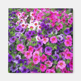  Petunias Magneet