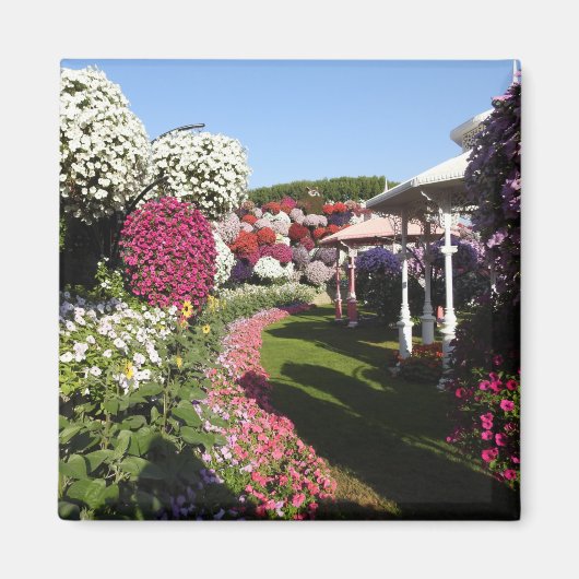 Petunias Magnet (Voorkant)