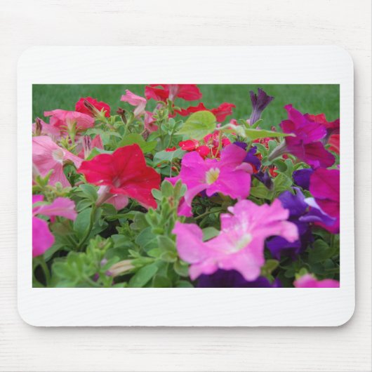 Petunias Muismat (Voorkant)