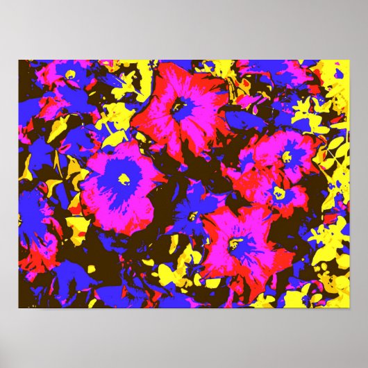 PETUNIAS POSTER (Voorkant)