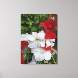 Petunias Red en White Canvas Print