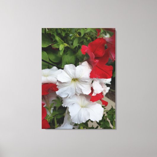 Petunias Red en White Canvas Print (Voorkant)