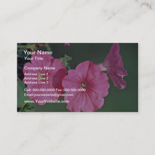 Petunias Roze bloemen Visitekaartje (Voorkant)