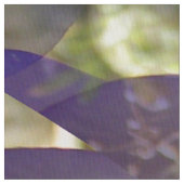  Petunia's..... Stof (Close Up)