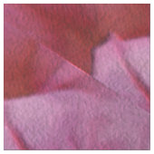  Petunia's..... Stof (Close Up)