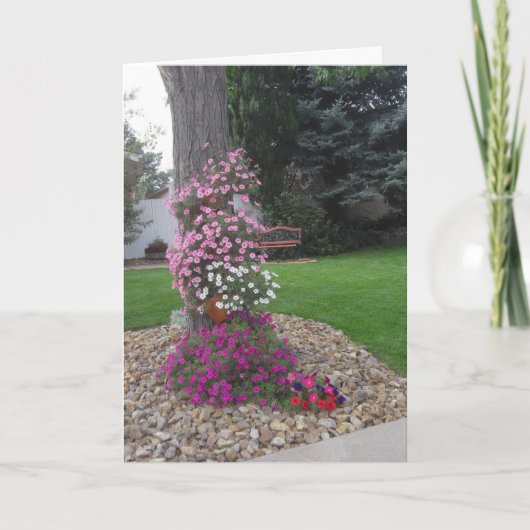 Petunias Verjaardag Kaart (Voorkant)