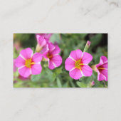 Petunias Visitekaartje (Achterkant)