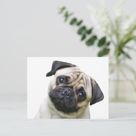 peuk briefkaart (Staand voorkant)