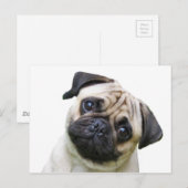 peuk briefkaart (Voorkant / Achterkant)