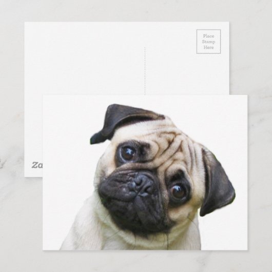 peuk briefkaart (Voorkant / Achterkant)