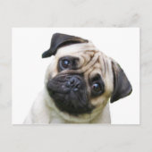 peuk briefkaart (Voorkant)