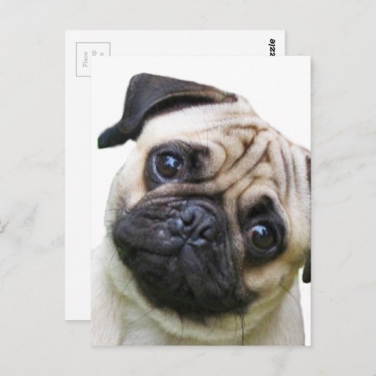 peuk briefkaart (Voorkant / Achterkant)