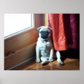 peuk poster (Voorkant)