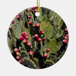Peuracidocactus, Sonoran-woestijn Keramisch Ornament