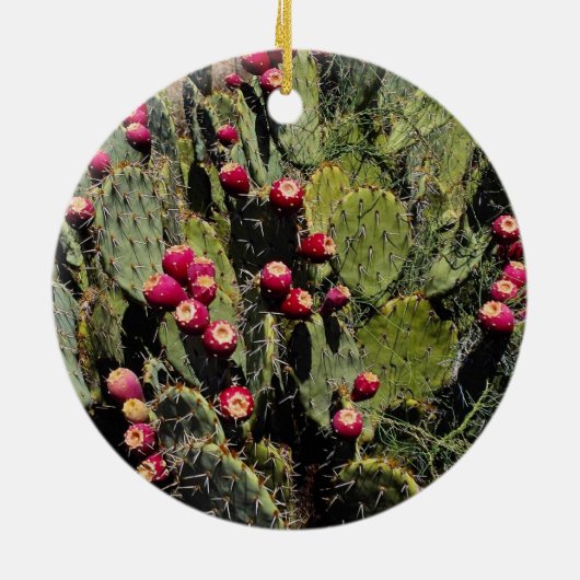 Peuracidocactus, Sonoran-woestijn Keramisch Ornament (Achterkant)